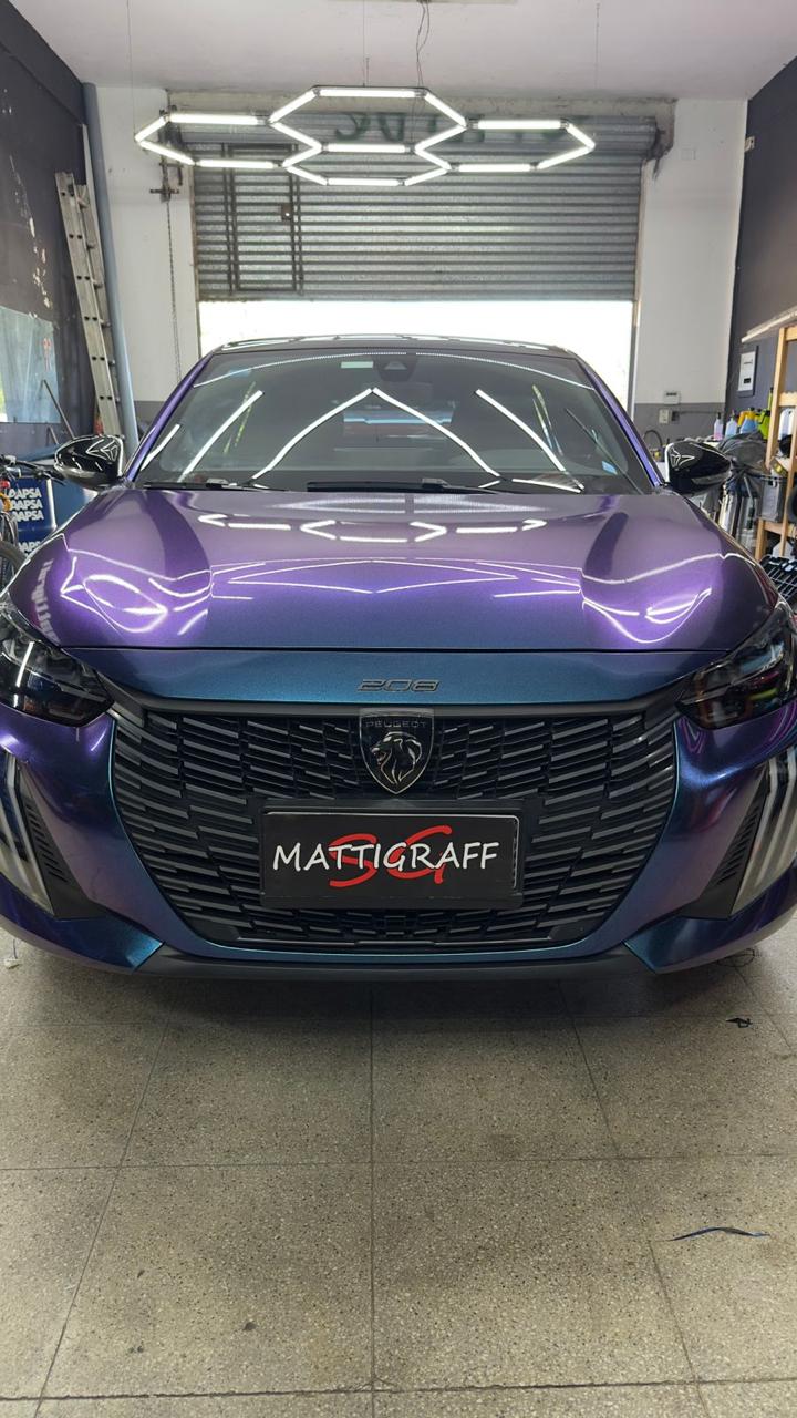 Ploteo deportivo en auto de competición